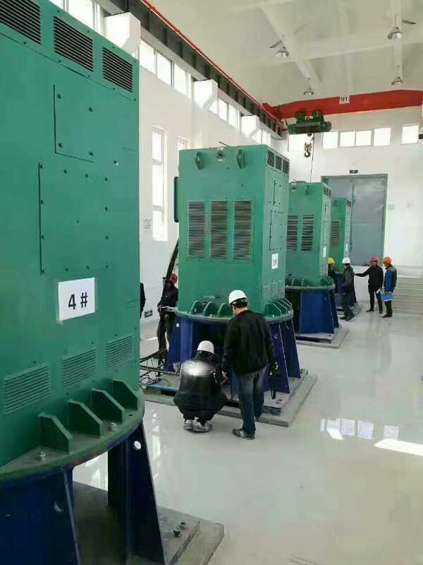 YJTFKK6303-12-710KW某污水处理厂使用我厂的立式高压电机安装现场