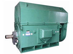 YJTFKK6303-12-710KWY系列6KV高压电机