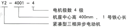 YR系列(H355-1000)高压YJTFKK6303-12-710KW三相异步电机西安西玛电机型号说明